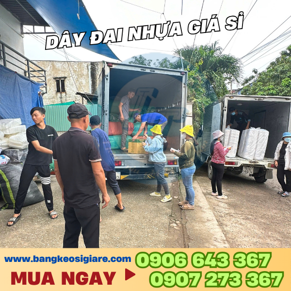 Dây đai nhựa đóng hàng giá sỉ nhiều màu Dây đai nhựa đóng hàng giá sỉ nhiều màu