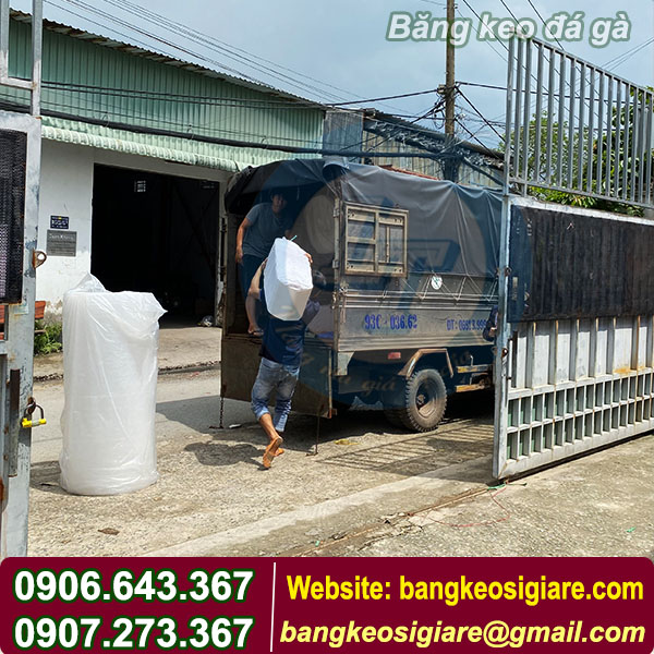 CÔNG TY CUNG CẤP BĂNG KEO ĐÁ GÀ SỈ GIÁ RẺ CÔNG TY CUNG CẤP BĂNG KEO ĐÁ GÀ SỈ GIÁ RẺ