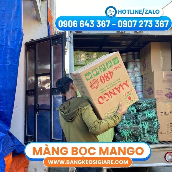 Màng bọc thực phẩm Mango Màng bọc thực phẩm Mango