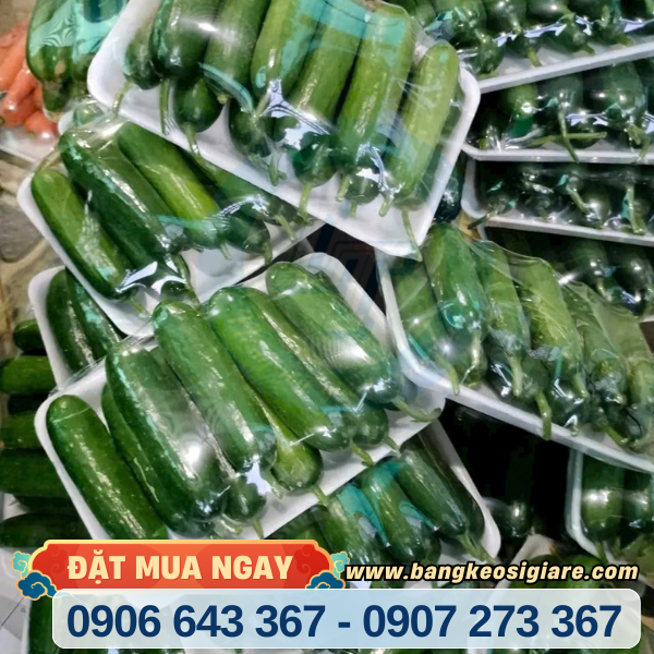 báo giá thùng 6 cuộn màng bọc thực phẩm Ringo báo giá thùng 6 cuộn màng bọc thực phẩm Ringo