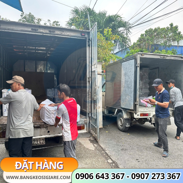 bán túi gấu bọc thực phẩm đóng bịch 100 cái tiện dụng bán túi gấu bọc thực phẩm đóng bịch 100 cái tiện dụng