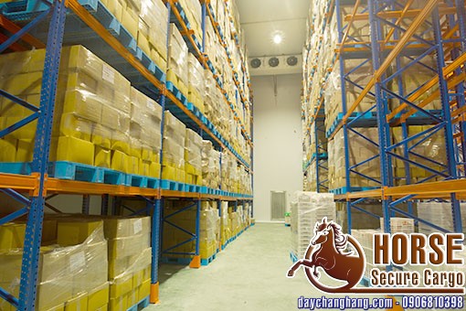 Thay thế màng PE tại công ty nông sản Thuận Phong Thay thế màng PE tại công ty nông sản Thuận Phong