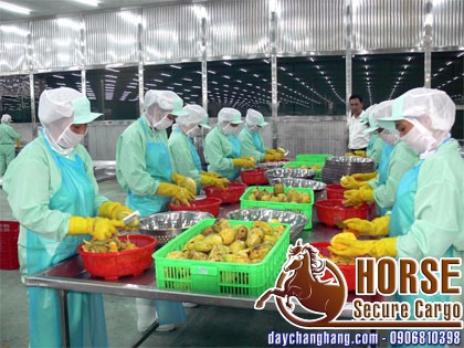 Thay thế màng PE tại công ty nông sản Thuận Phong Thay thế màng PE tại công ty nông sản Thuận Phong