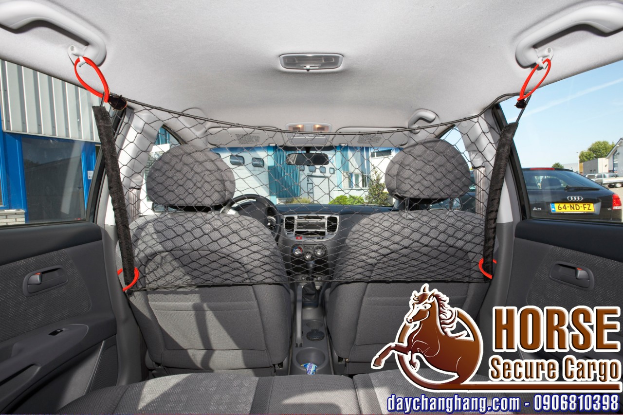 cong-dung-luoi-rang-hang cong-dung-luoi-rang-hang