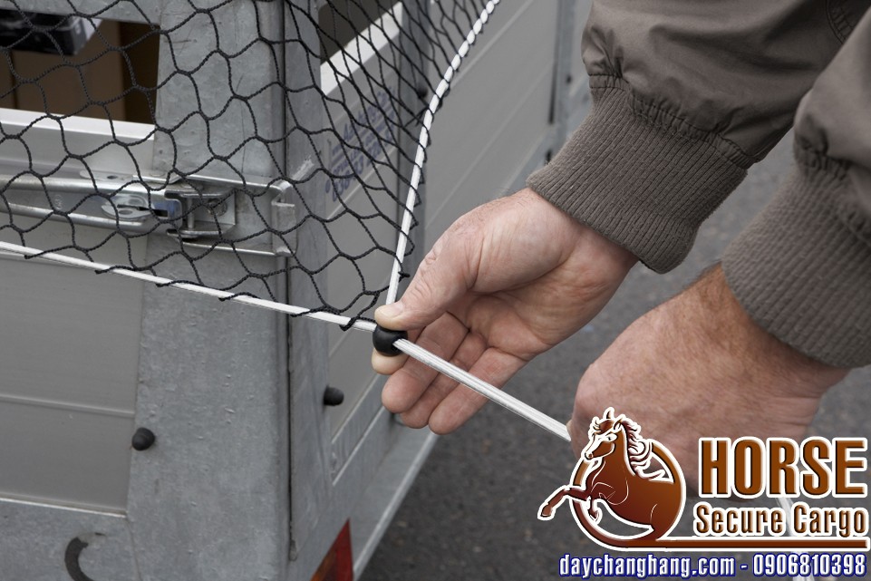 luoi-rang-hang D-50016T cong-dung-luoi-rang-hang