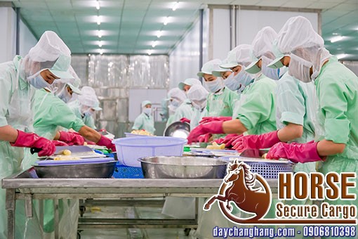 Thay thế màng PE tại công ty nông sản Thuận Phong Thay thế màng PE tại công ty nông sản Thuận Phong