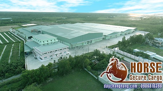 Thay thế màng PE tại công ty nông sản Thuận Phong Thay thế màng PE tại công ty nông sản Thuận Phong