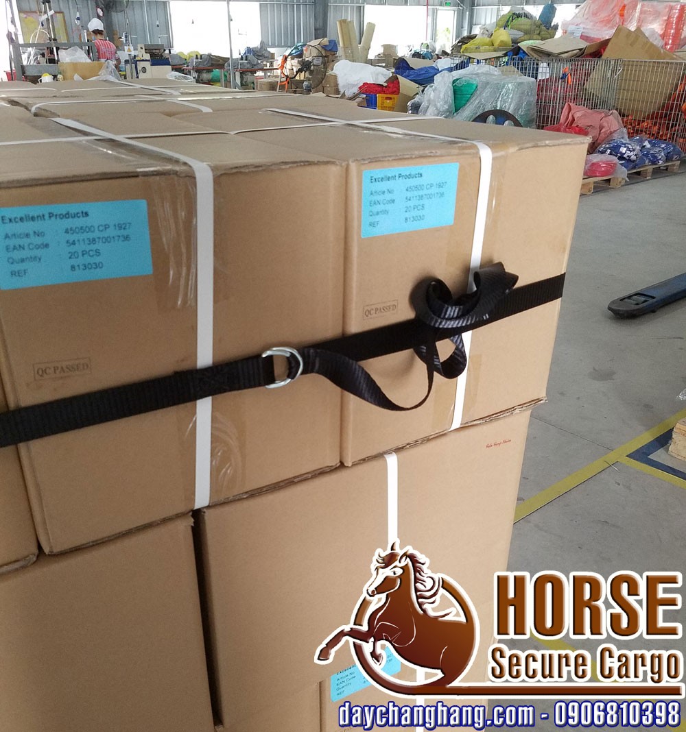 Dây chằng D-boulbe D-ring thay thế màng PE quấn hàng trên pallet Dây chằng D-boulbe D-ring thay thế màng PE quấn hàng trên pallet