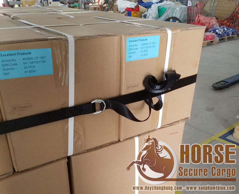 Sử dụng dây chằng hàng Double D-ring thay thế màng PE quấn pallet Sử dụng dây chằng hàng Double D-ring thay thế màng PE quấn pallet