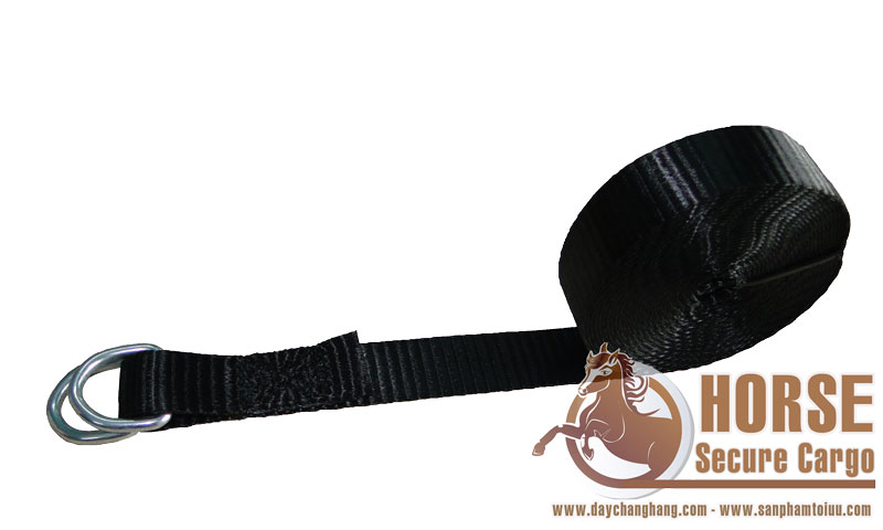 Dây chằng hàng Double D-ring bản 25mm Dây chằng hàng Double D-ring bản 25mm