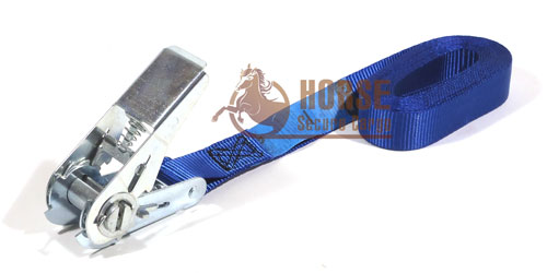 Dây chằng tăng đơ 0.8T bản 25x10m xanh không móc Dây chằng tăng đơ 0.8T bản 25x10m xanh không móc