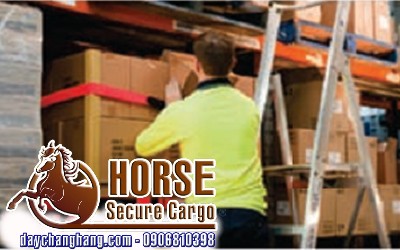 Dây chằng hàng velcro Horse-Secure Cargo