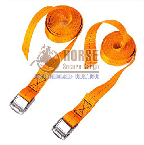 Dây chằng khóa cam bản 25mm Dây chằng khóa cam bản 25mm