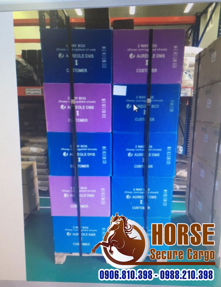 Sử dụng dây chằng khóa gài chằng hàng trên pallet Sử dụng dây chằng khóa gài chằng hàng trên pallet