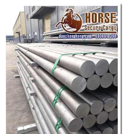 ung-dung-day-dai-pet ung-dung-day-dai-pet