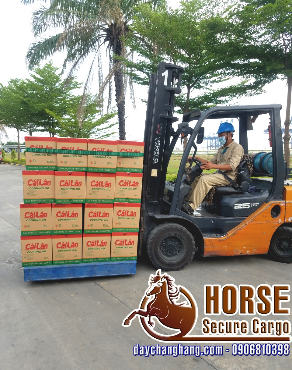 Test dây thun bản chằn hàng giảm chi phí tại công ty Dầu thực vật Cái Lân Test dây thun bản chằn hàng giảm chi phí tại công ty Dầu thực vật Cái Lân