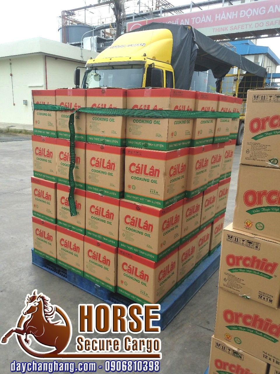 Test dây thun bản chằng hàng tại công ty Dầu thực vật Cái Lân Test dây thun bản chằng hàng tại công ty Dầu thực vật Cái Lân