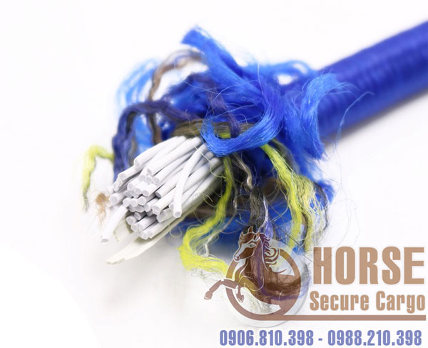 Dây thun chằng hàng mạng nhện 4 nhánh là loại dây buộc đồ cho xe máy chuyên nghiệp Dây thun chằng hàng mạng nhện 4 nhánh là loại dây buộc đồ cho xe máy chuyên nghiệp