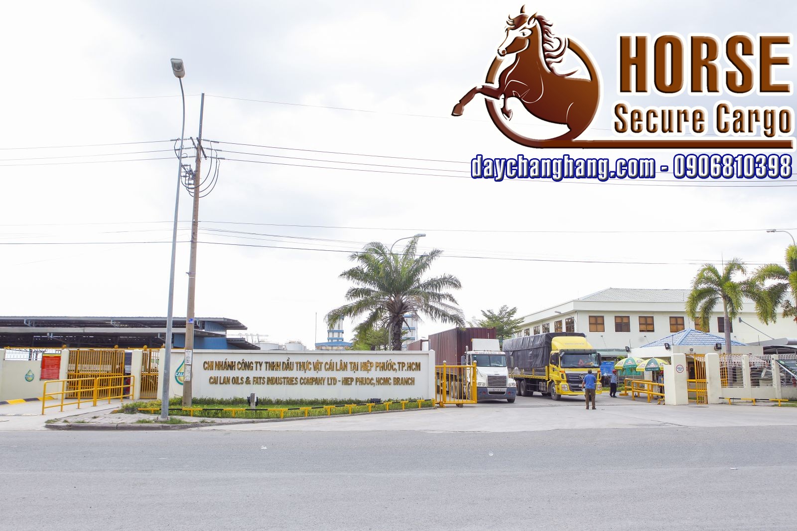 Test dây thun bản chằng giảm chi phí tại công ty Dầu thực vật Cái Lân Test dây thun bản chằng giảm chi phí tại công ty Dầu thực vật Cái Lân