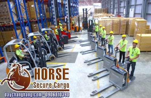 Giảm chi phí quấn màng PE tại Transimex SHTP Giảm chi phí quấn màng PE tại Transimex SHTP