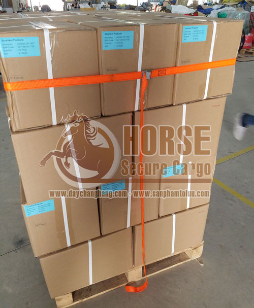 Ứng dụng dây chằng khóa cam Ứng dụng dây chằng khóa cam