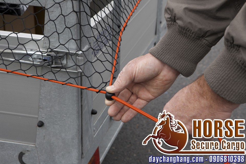 ung-dung-luoi-rang-hang ung-dung-luoi-rang-hang