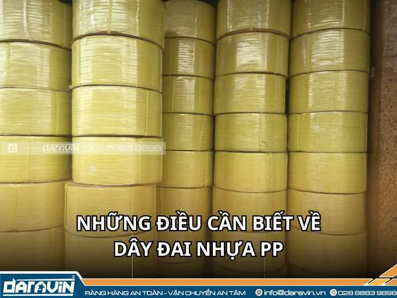 Những điều bạn cần biết về dây đai nhựa PP đóng hàng