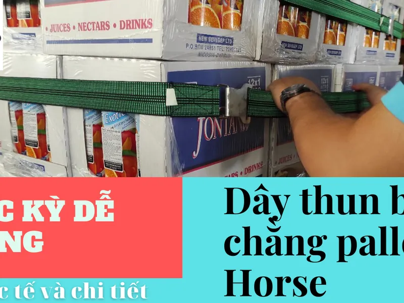 Hướng dẫn chi tiết cách dùng dây thun bản chằng hàng trên pallet