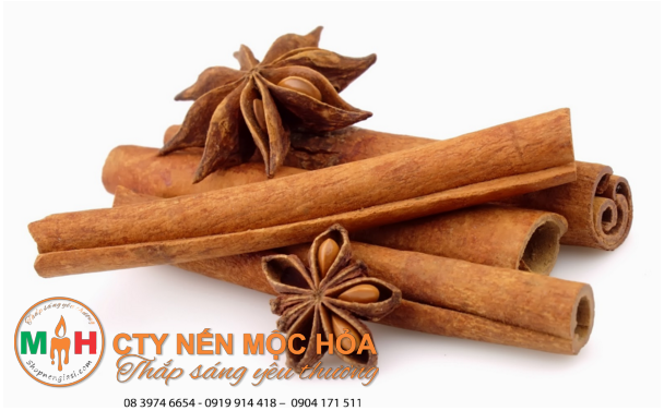 Quế là một loại gia vị rất dễ kiếm và cho bạn mùi hương rất thanh khiết. Quế là một loại gia vị rất dễ kiếm và cho bạn mùi hương rất thanh khiết.