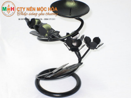 Cúc rực rỡ đón lấy ánh mặt trời và đại diện cho một sức sống mãnh liệt trỗi dậy sau mùa đông lạnh giá Cúc rực rỡ đón lấy ánh mặt trời và đại diện cho một sức sống mãnh liệt trỗi dậy sau mùa đông lạnh giá