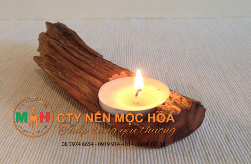 Thiên nhiên luôn là thứ gì đó rất kì bí và hấp dẫn sự chú ý của con người Thiên nhiên luôn là thứ gì đó rất kì bí và hấp dẫn sự chú ý của con người