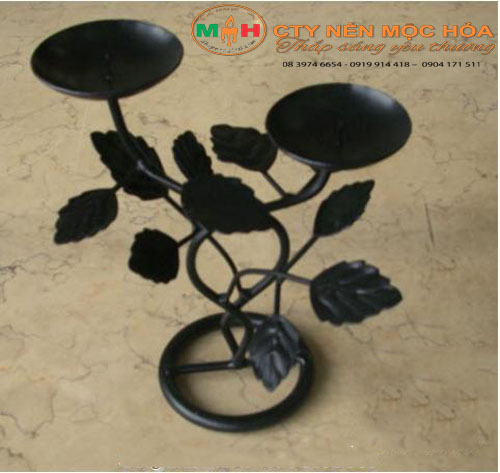 Những cánh hoa mai mỏng mai bừng lên sức sống sau những ngày đông giá lạnh Những cánh hoa mai mỏng mai bừng lên sức sống sau những ngày đông giá lạnh