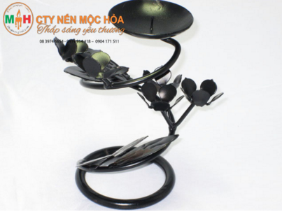 Cúc rực rỡ đón lấy ánh mặt trời và đại diện cho một sức sống mãnh liệt trỗi dậy sau mùa đông lạnh giá Cúc rực rỡ đón lấy ánh mặt trời và đại diện cho một sức sống mãnh liệt trỗi dậy sau mùa đông lạnh giá