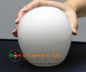 Hãy đặt chúng ở một góc phòng và tận hưởng vẻ đẹp chúng mang lại Hãy đặt chúng ở một góc phòng và tận hưởng vẻ đẹp chúng mang lại