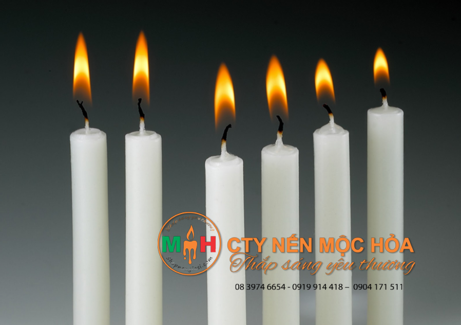 Giá nến cây không rõ nguồn gốc rất rẻ nhưng hậu quả bạn phải đối mặt thật sự rất đắt Giá nến cây không rõ nguồn gốc rất rẻ nhưng hậu quả bạn phải đối mặt thật sự rất đắt