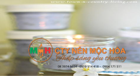 bạn sẽ ngạc nhiên vì sự lung linh và mùi hương quyến rũ mà hoa oải hương mang lại bạn sẽ ngạc nhiên vì sự lung linh và mùi hương quyến rũ mà hoa oải hương mang lại