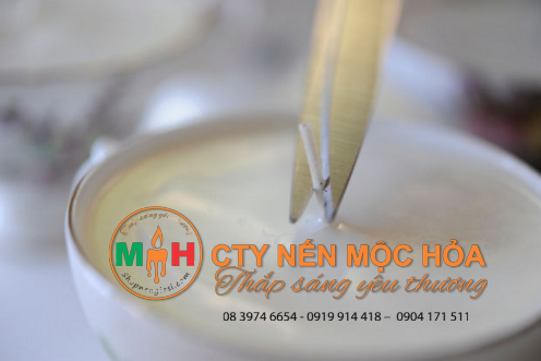 Tỉa ngắn sợi bấc còn khoảng 0.5 - 0.6 cm Tỉa ngắn sợi bấc còn khoảng 0.5 - 0.6 cm