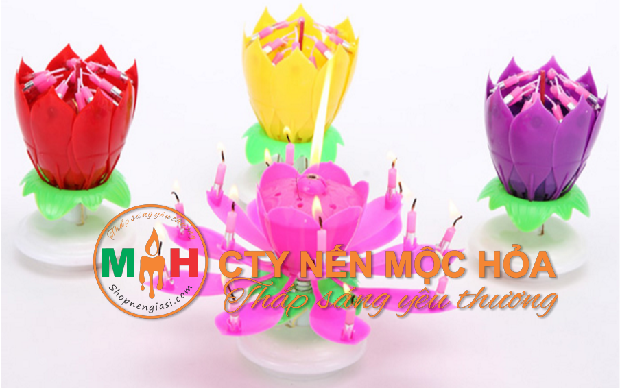 Nổi lên như một hiện tượng, nến sinh nhật nở hoa chiếm lĩnh thị trường Châu Âu vì vẻ đẹp và niềm vui bất ngờ mà nó đem lại Nổi lên như một hiện tượng, nến sinh nhật nở hoa chiếm lĩnh thị trường Châu Âu vì vẻ đẹp và niềm vui bất ngờ mà nó đem lại