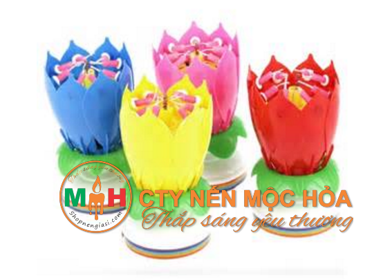 Nến sinh nhật nở hoa được nhiều người ưa chuộng vì vẻ đẹp của chúng Nến sinh nhật nở hoa được nhiều người ưa chuộng vì vẻ đẹp của chúng