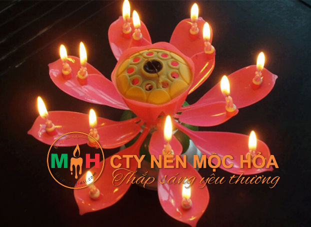 Hầu hết mọi người khi lần đầu tiếp xúc với những chiếc nến này đều rất bất ngờ với điều kì diệu mà nó mang lại Hầu hết mọi người khi lần đầu tiếp xúc với những chiếc nến này đều rất bất ngờ với điều kì diệu mà nó mang lại