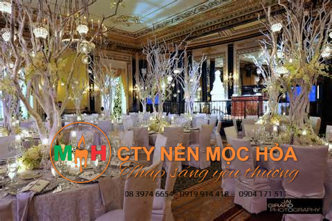 Trước khi mua nến tealight giá sỉ bạn cần phải biết rõ nguồn gốc xuất xứ của chúng Trước khi mua nến tealight giá sỉ bạn cần phải biết rõ nguồn gốc xuất xứ của chúng