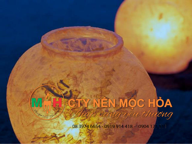 Bể cá lấp lánh ánh sáng yêu thương Bể cá lấp lánh ánh sáng yêu thương