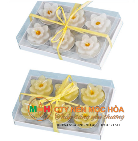 Nến Tealight hình hoa thường được chứa chứa trong cốc nhựa, có thể có mùi hay không mùi Nến Tealight hình hoa thường được chứa chứa trong cốc nhựa, có thể có mùi hay không mùi