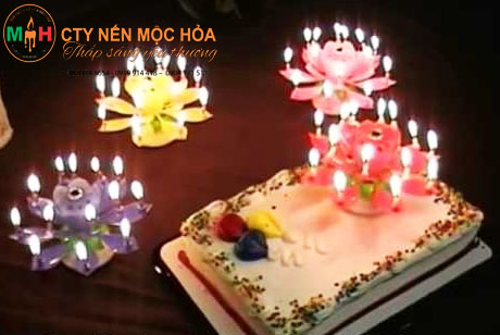 Nến sinh nhật nhiều màu phụ kiện trang trí bánh sinh nhật  NEN0007  Lela  Flory