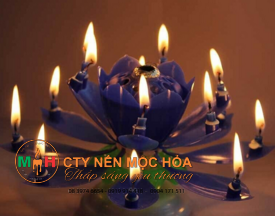 Cây nến có một không hai này khi được đặt lên bánh sinh nhật trông giống như một đóa hoa trang trí xinh đẹp Cây nến có một không hai này khi được đặt lên bánh sinh nhật trông giống như một đóa hoa trang trí xinh đẹp