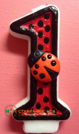 Một chú bọ rùa đỏ cam tinh nghịch cùng bé chào đón ngày sinh nhật vui vẻ của minh Một chú bọ rùa đỏ cam tinh nghịch cùng bé chào đón ngày sinh nhật vui vẻ của minh