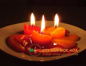 Bí quyết làm sạch sáp nến trên sàn gỗ và tường sơn