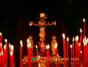 Giá nến cây có thật sự rẻ?