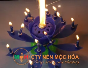 Lưu ý khi sử dụng nến sinh nhật hoa sen