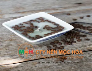 Tự làm nến cốc giá rẻ với hạt cà phê Pháp